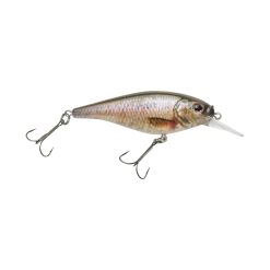 Berkley Crankbaits Flicker Shad Shallow 7cm 28 Berkley Crankbaits Flicker Shad Shallow 7cm