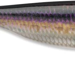 Storm Soft Baits 4" Largo Shad 15 Storm Soft Baits 4