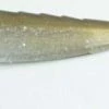 MISSILE BAITS, LLC MB SHOCKWAVE 4.25-BRASS MNKY Soft Baits
