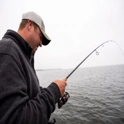 St. Croix AVID SERIES® SPINNING RODS