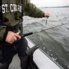 St. Croix ST. CROIX RODS EYECON® TROLLING RODS